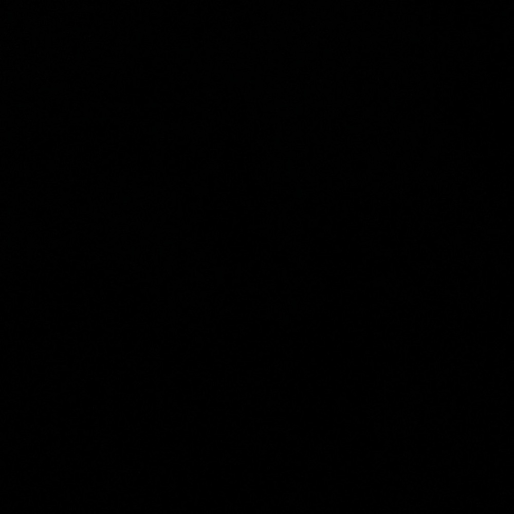 Meet your Posher, •blxcknoami•